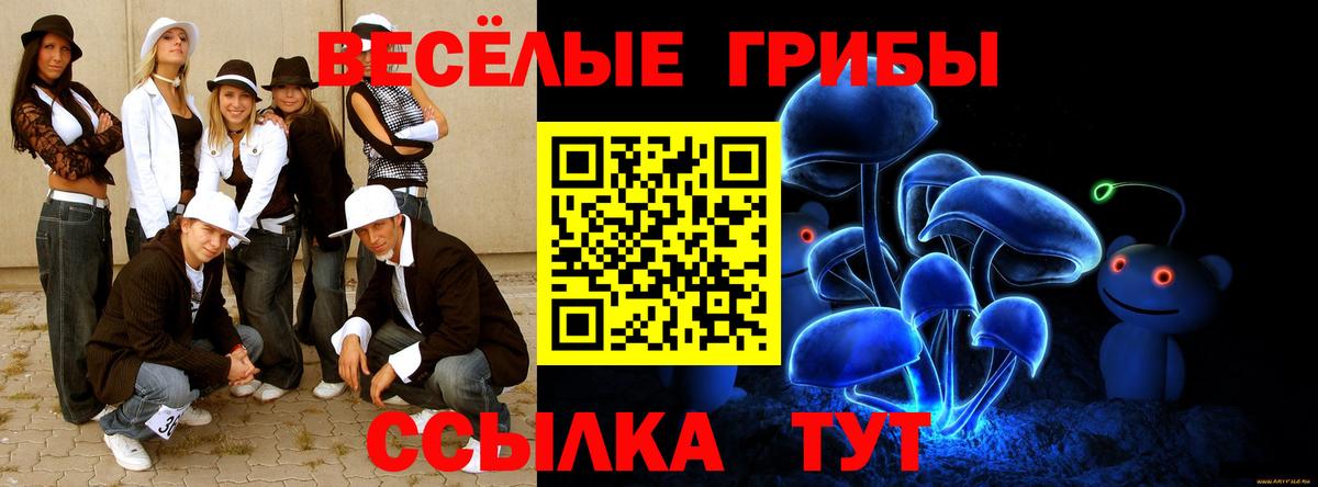 Бийск  Псилоцибиновые грибы Psilocybine cubensis  Вход с VPN 